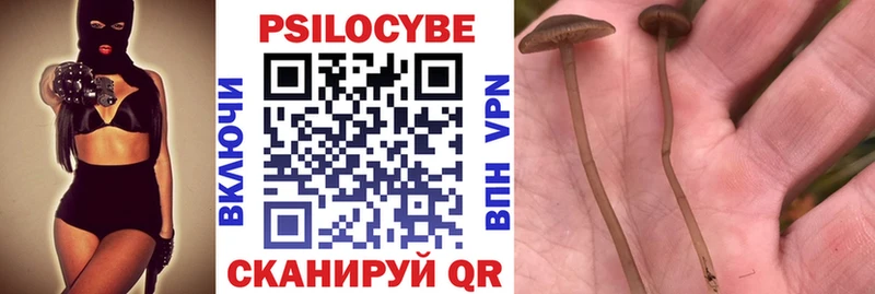 Псилоцибиновые грибы Psilocybine cubensis  Купить где  Изобильный 